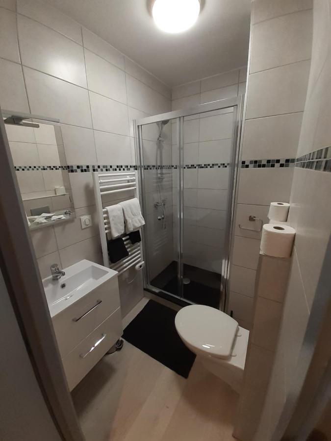 Les Appartements Du Saint Hubert Arcis-sur-Aube Eksteriør billede