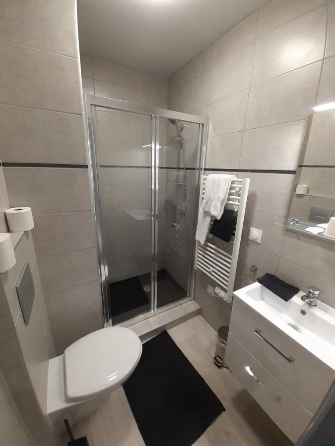 Les Appartements Du Saint Hubert Arcis-sur-Aube Eksteriør billede