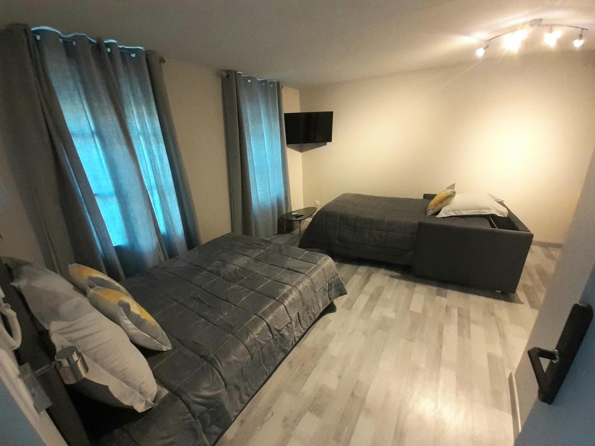 Les Appartements Du Saint Hubert Arcis-sur-Aube Eksteriør billede